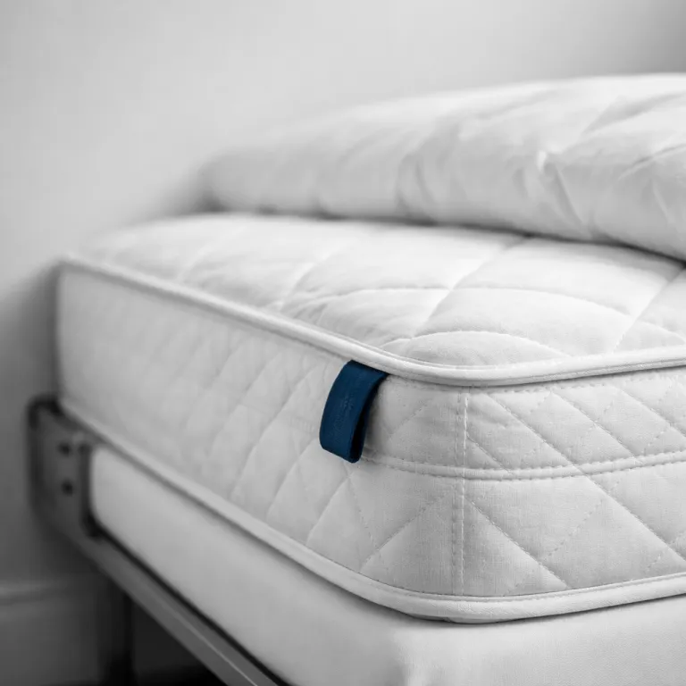 How hotelier beds shape institutional strategies and networks in hospitality